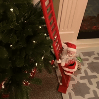 The Holiday Santa™