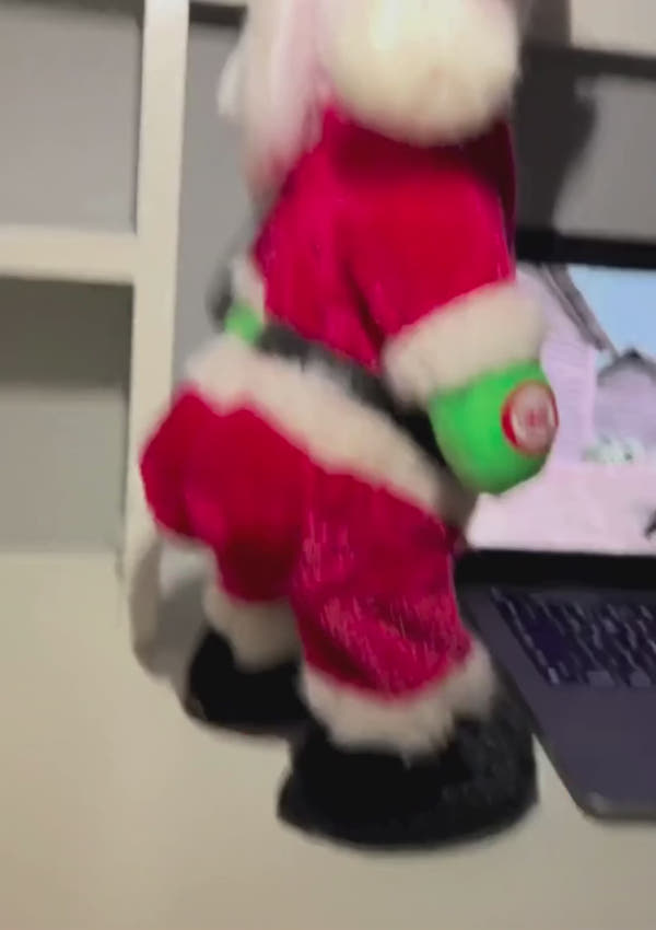 The Holiday Santa™